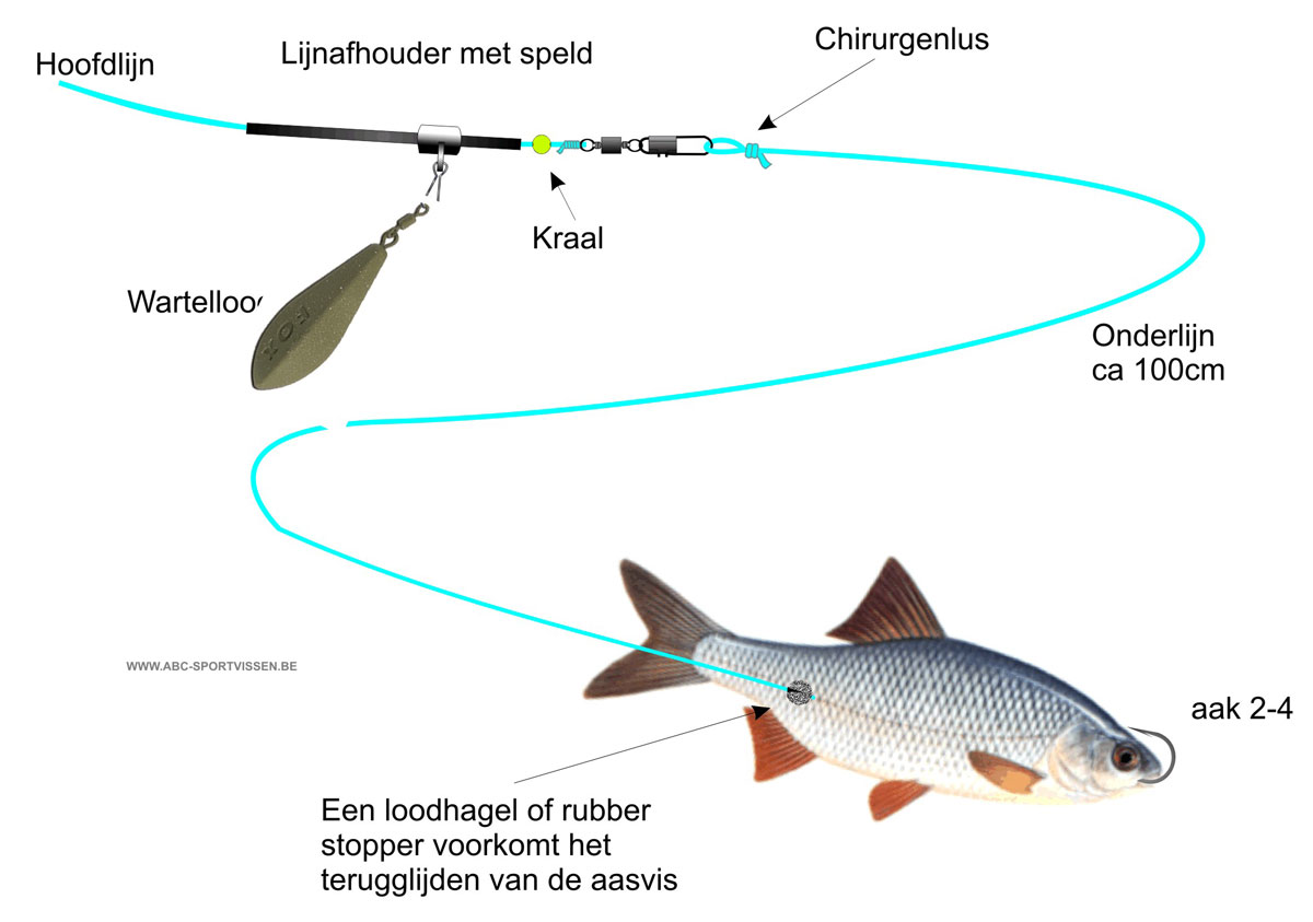 Lijnmontages snoek
